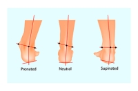 Comparing Pronation and Supination of the Feet